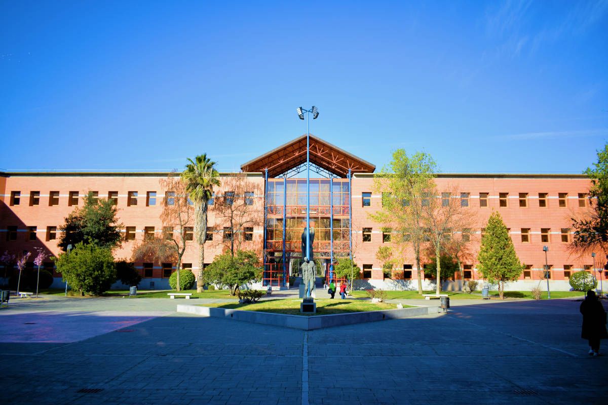 Colegio de Logopedas en Madrid