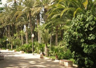 centro de logopedia en elche