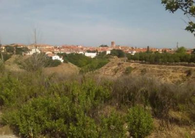 clinica de logopedia en paracuellos de jarama