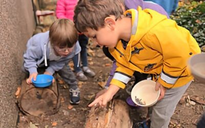 Descubre el MÉTODO MONTESSORI y todo su poder.