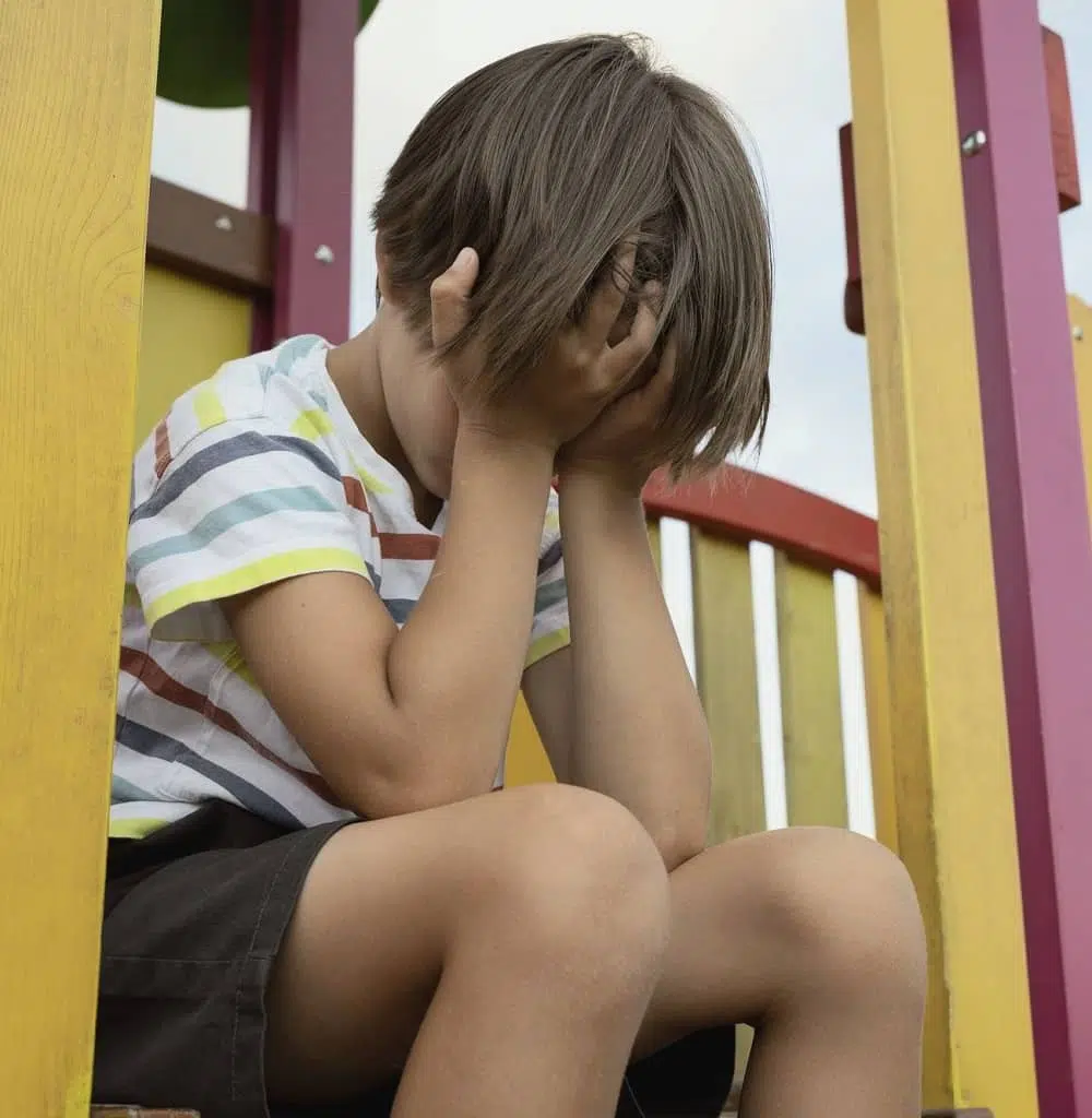 desarrollo del niño